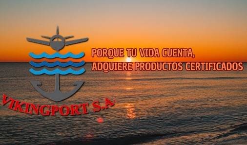 landing-logo-vikingport-grande